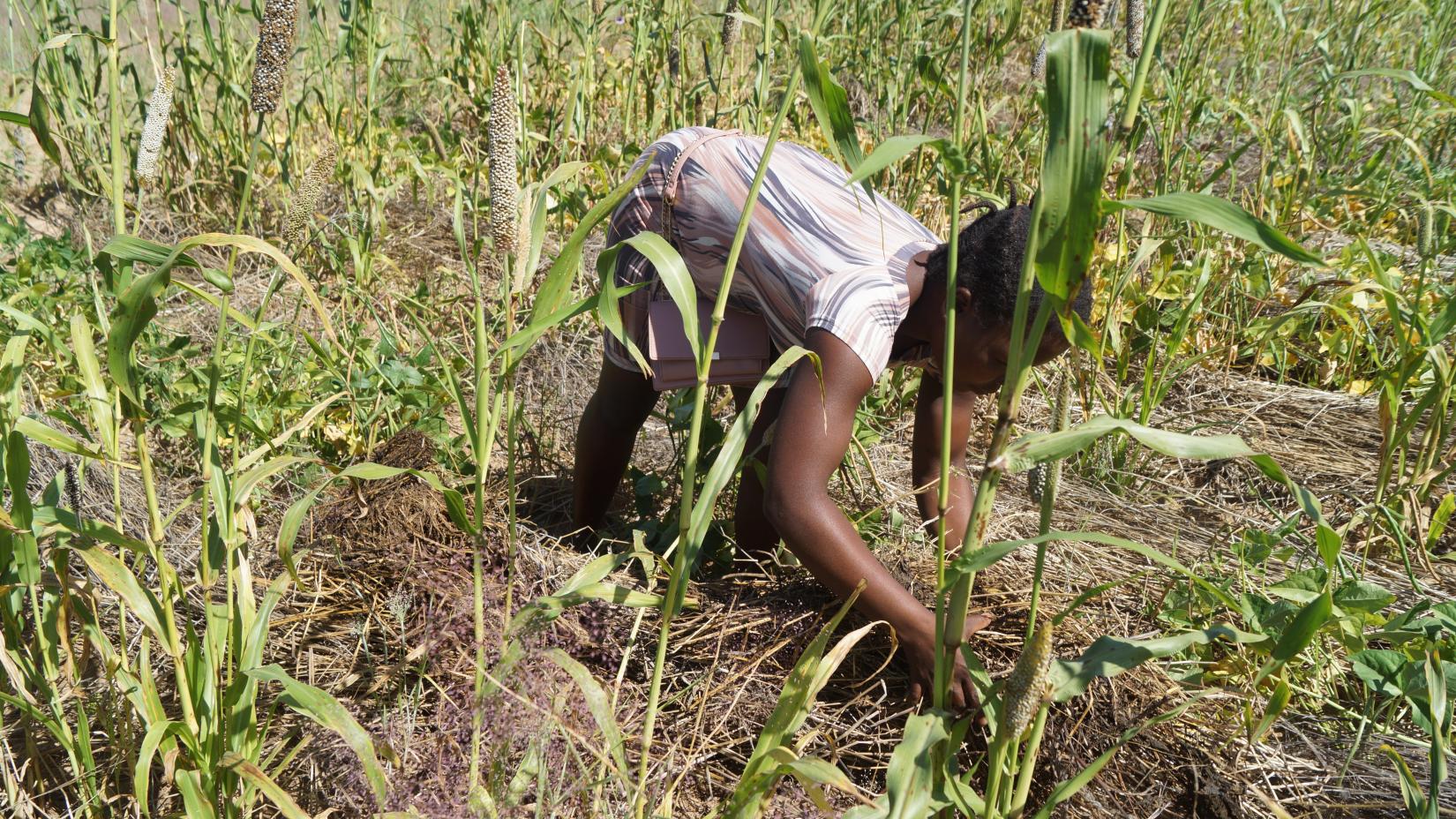 FAO supporting Namibia to develop new Comprehensive Conservation